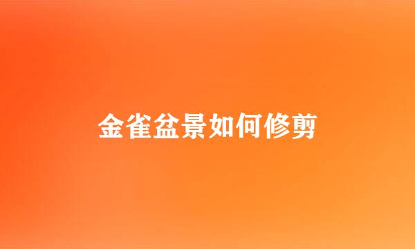 金雀盆景如何修剪