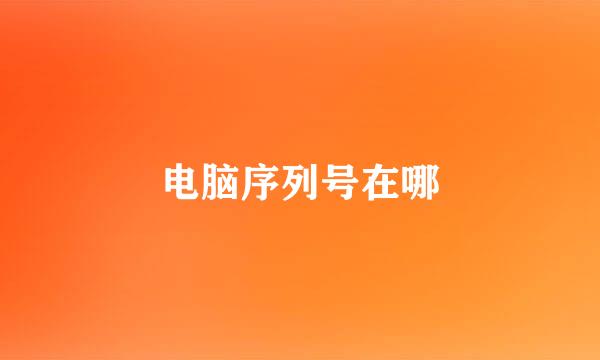 电脑序列号在哪