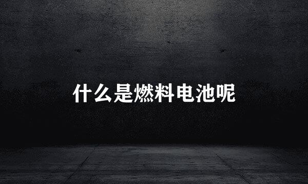什么是燃料电池呢