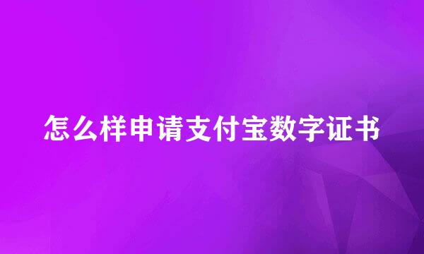 怎么样申请支付宝数字证书