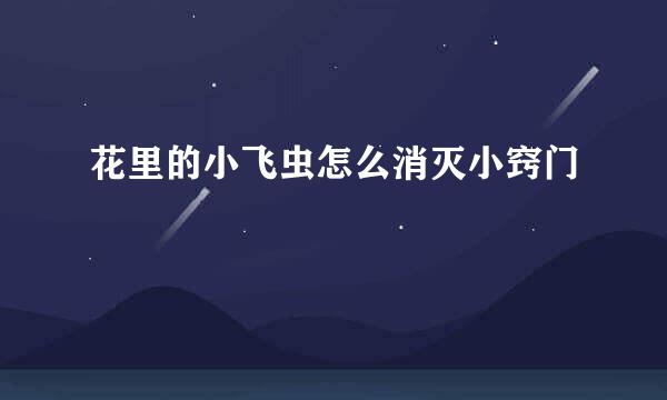 花里的小飞虫怎么消灭小窍门