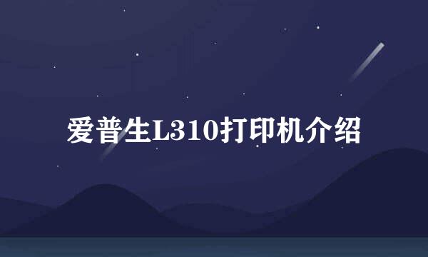 爱普生L310打印机介绍