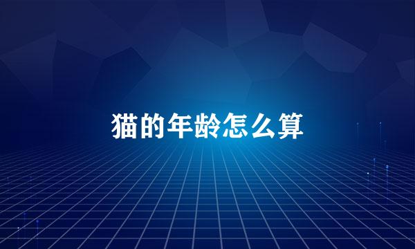 猫的年龄怎么算