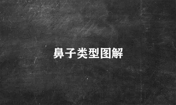 鼻子类型图解