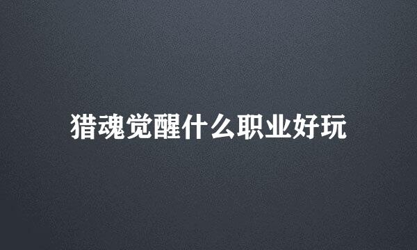 猎魂觉醒什么职业好玩