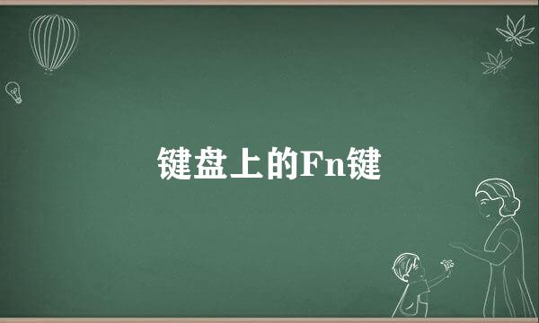 键盘上的Fn键