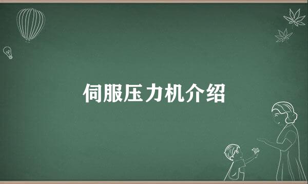 伺服压力机介绍