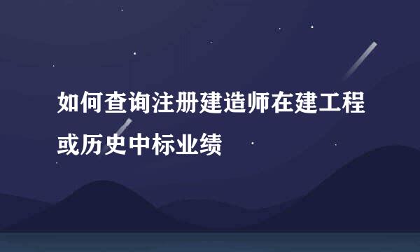如何查询注册建造师在建工程或历史中标业绩