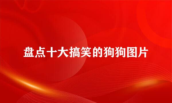 盘点十大搞笑的狗狗图片