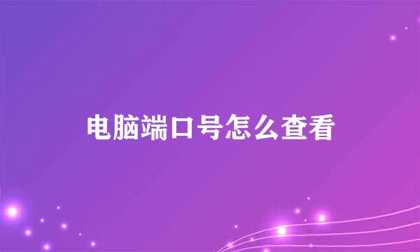 电脑端口号怎么查看