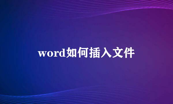 word如何插入文件