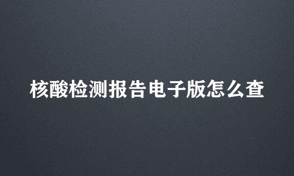 核酸检测报告电子版怎么查