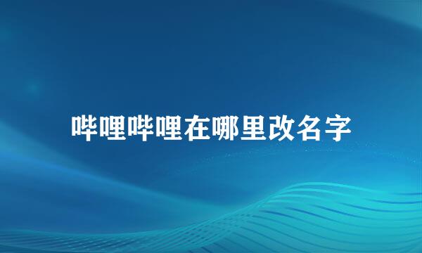 哔哩哔哩在哪里改名字