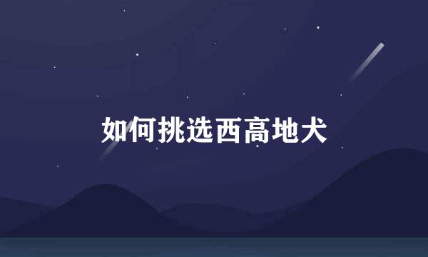 如何挑选西高地犬