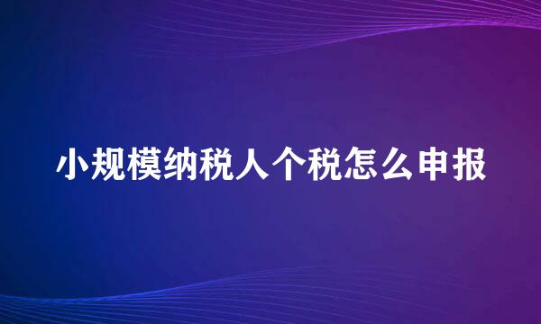 小规模纳税人个税怎么申报