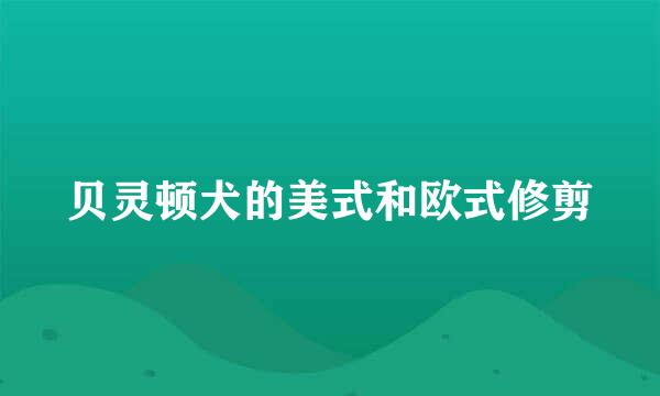 贝灵顿犬的美式和欧式修剪