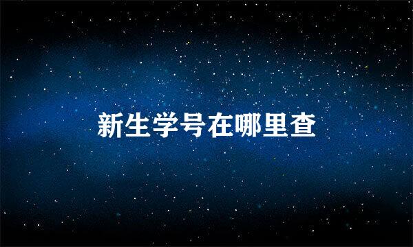 新生学号在哪里查