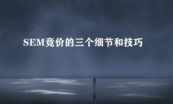 SEM竞价的三个细节和技巧