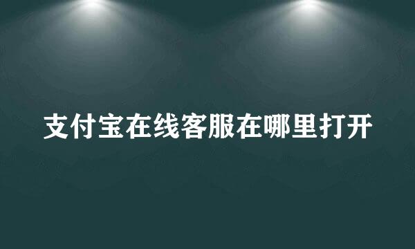 支付宝在线客服在哪里打开