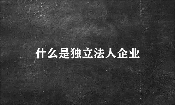 什么是独立法人企业
