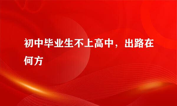 初中毕业生不上高中，出路在何方