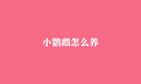 小鹦鹉怎么养