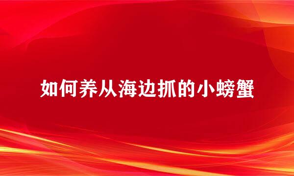 如何养从海边抓的小螃蟹