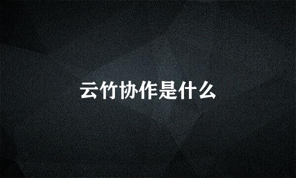 云竹协作是什么