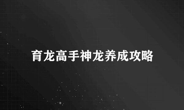 育龙高手神龙养成攻略