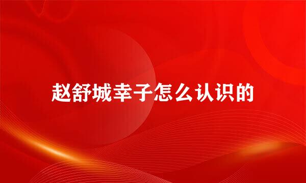 赵舒城幸子怎么认识的