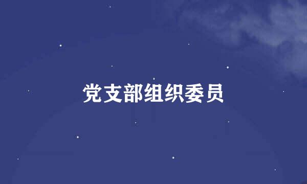 党支部组织委员