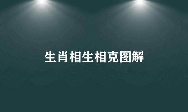 生肖相生相克图解