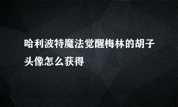 哈利波特魔法觉醒梅林的胡子头像怎么获得