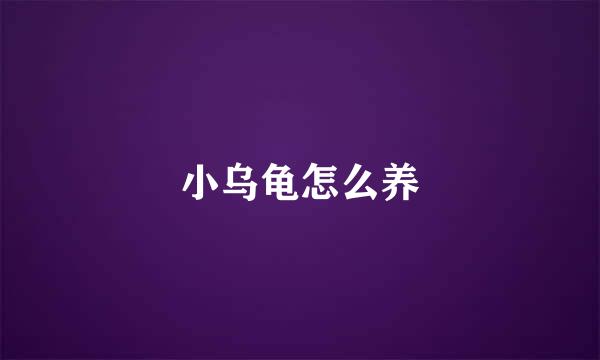 小乌龟怎么养