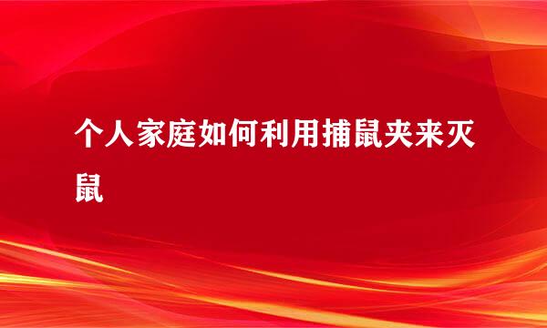 个人家庭如何利用捕鼠夹来灭鼠