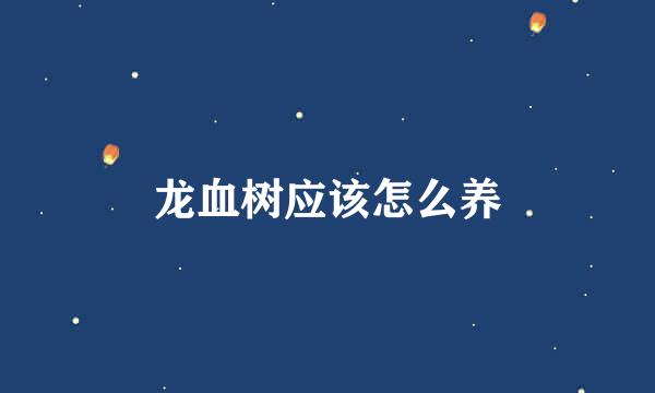 龙血树应该怎么养