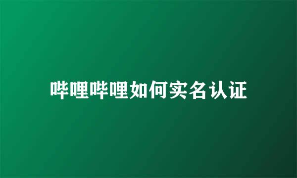 哔哩哔哩如何实名认证