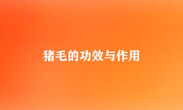 猪毛的功效与作用