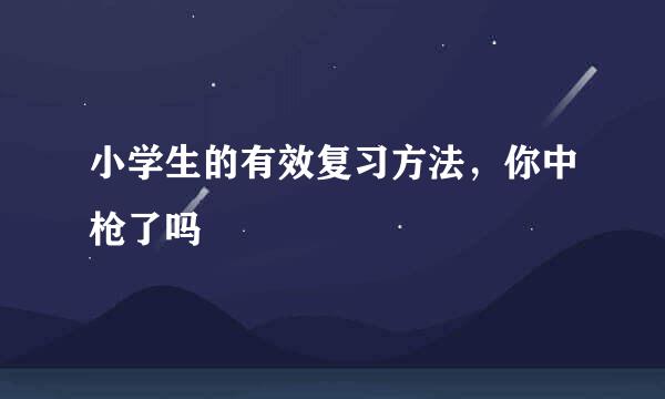 小学生的有效复习方法，你中枪了吗
