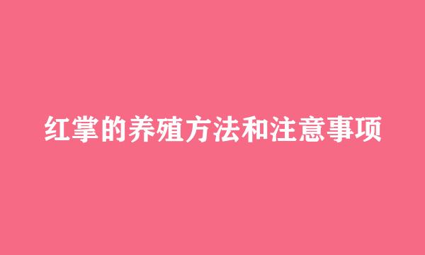 红掌的养殖方法和注意事项