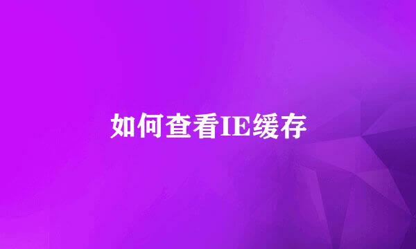 如何查看IE缓存