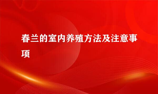 春兰的室内养殖方法及注意事项