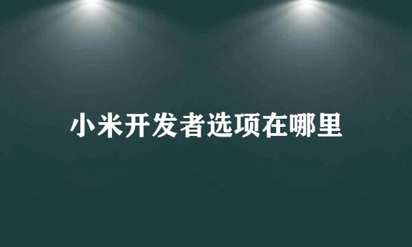 小米开发者选项在哪里