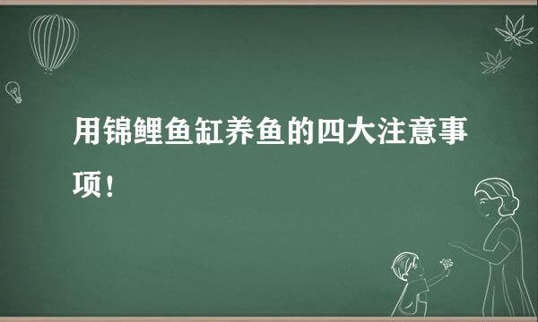 用锦鲤鱼缸养鱼的四大注意事项！