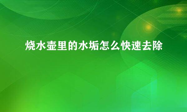 烧水壶里的水垢怎么快速去除
