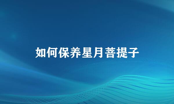 如何保养星月菩提子