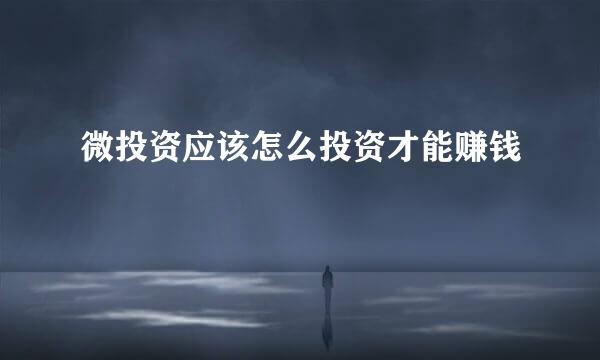 微投资应该怎么投资才能赚钱