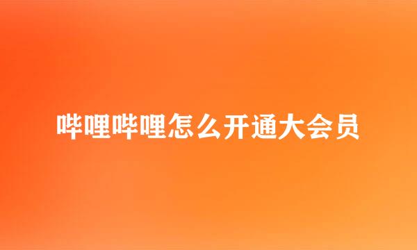 哔哩哔哩怎么开通大会员