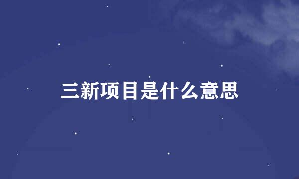 三新项目是什么意思