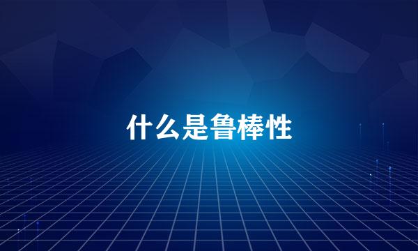 什么是鲁棒性